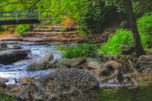 Tanyard Creek