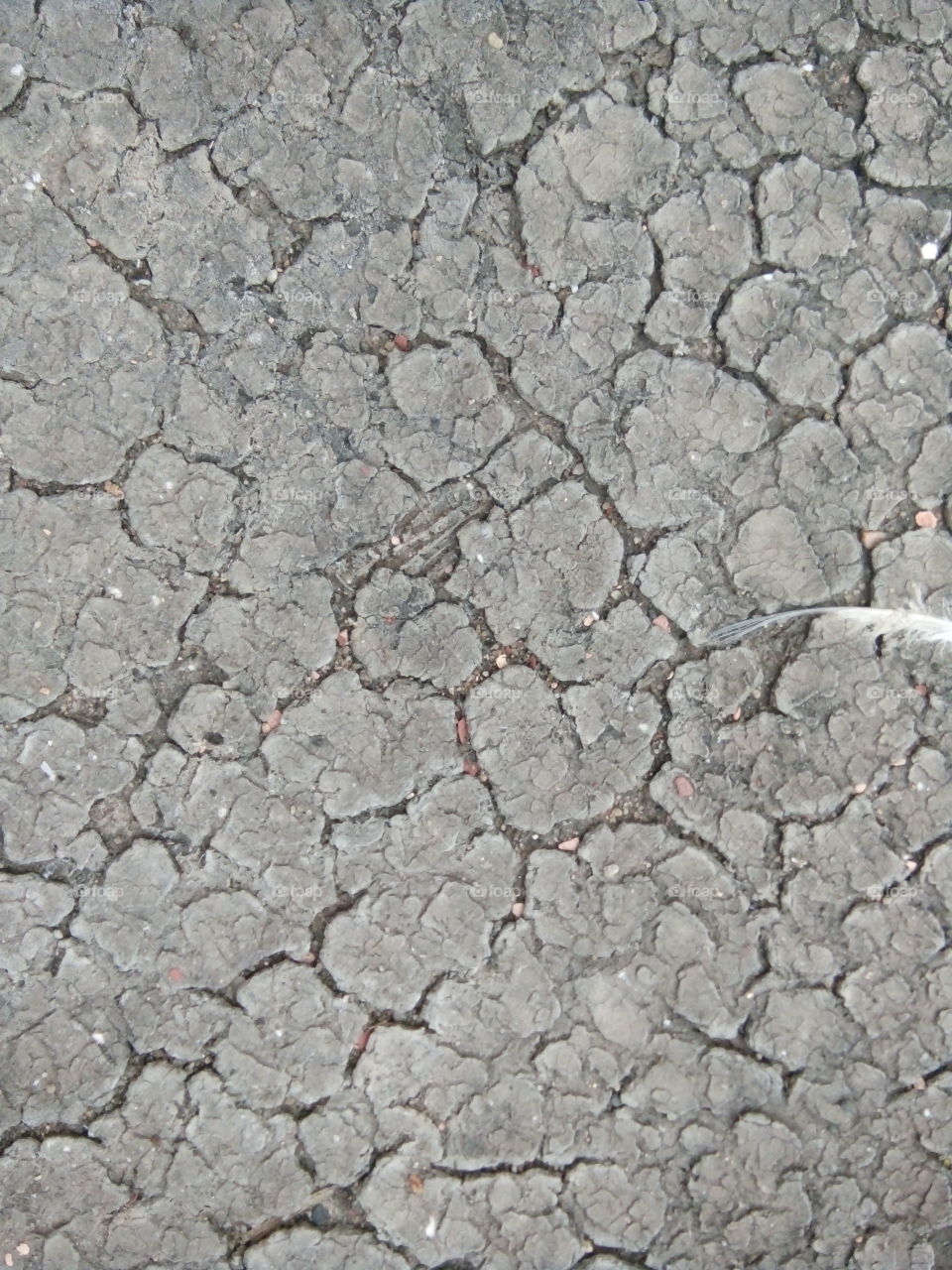 without color texture/realistic texture/wonder taXtuRe/under taxture/natural texture/lovely taxture