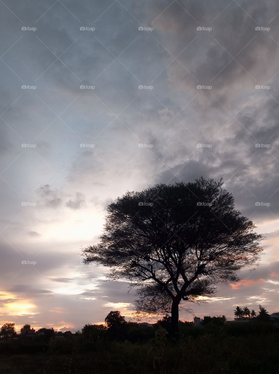 ❤ you lots village nature 🌿🍃 if you want to see support me👍 and follow my page 😍