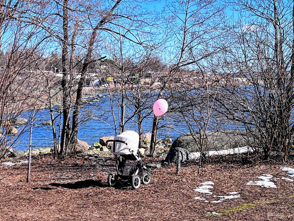 Springtime view on the river bank with bare trees and the  stroller with pink helium balloon 