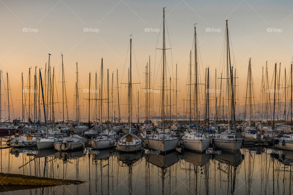 Boats moored at harbor