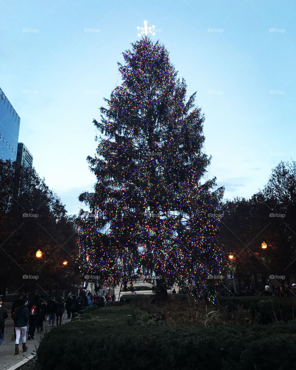 Christmas tree in Chicago, Millennium Park.