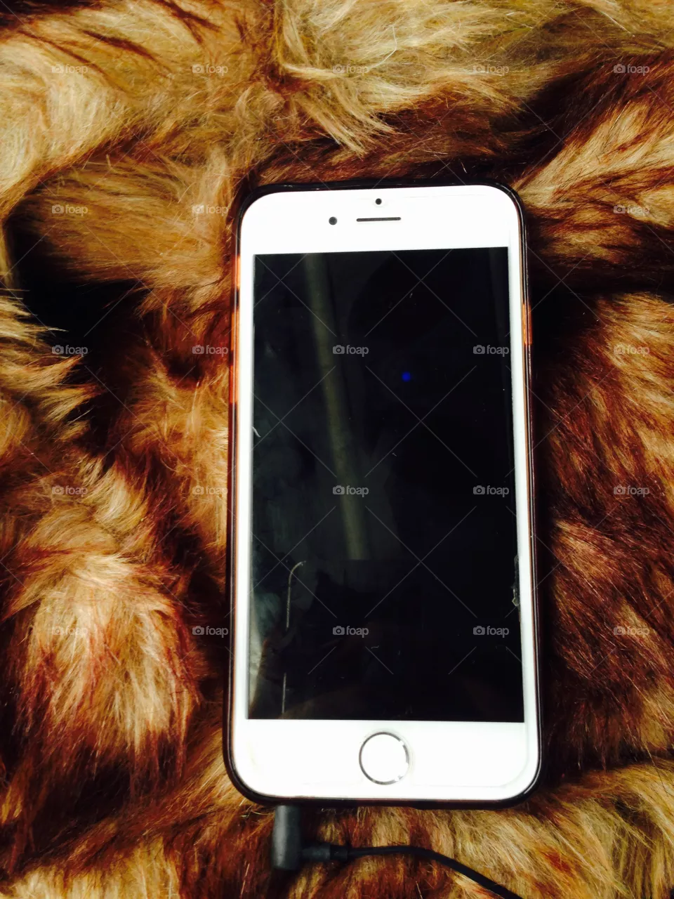 iPhone 6