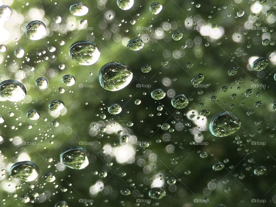 Drops rainy 