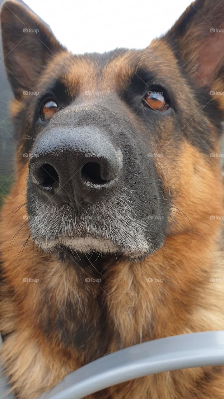 На паспорт фото