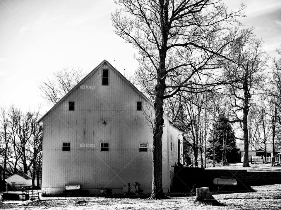 White old barn
