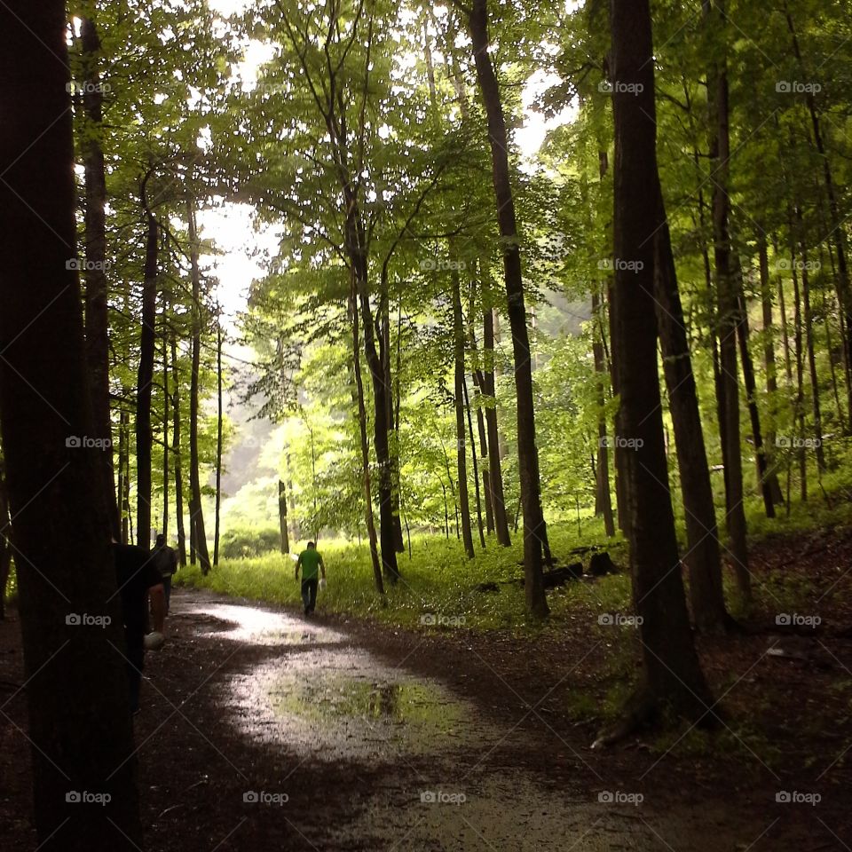 Person walking in forest after the rain