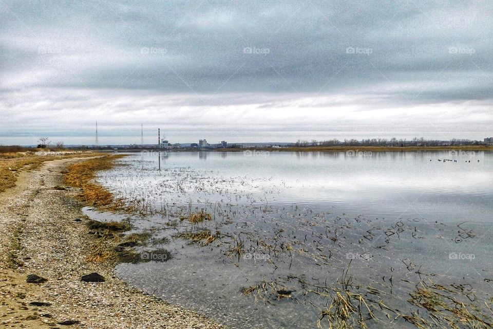 Great Meadow Marsh