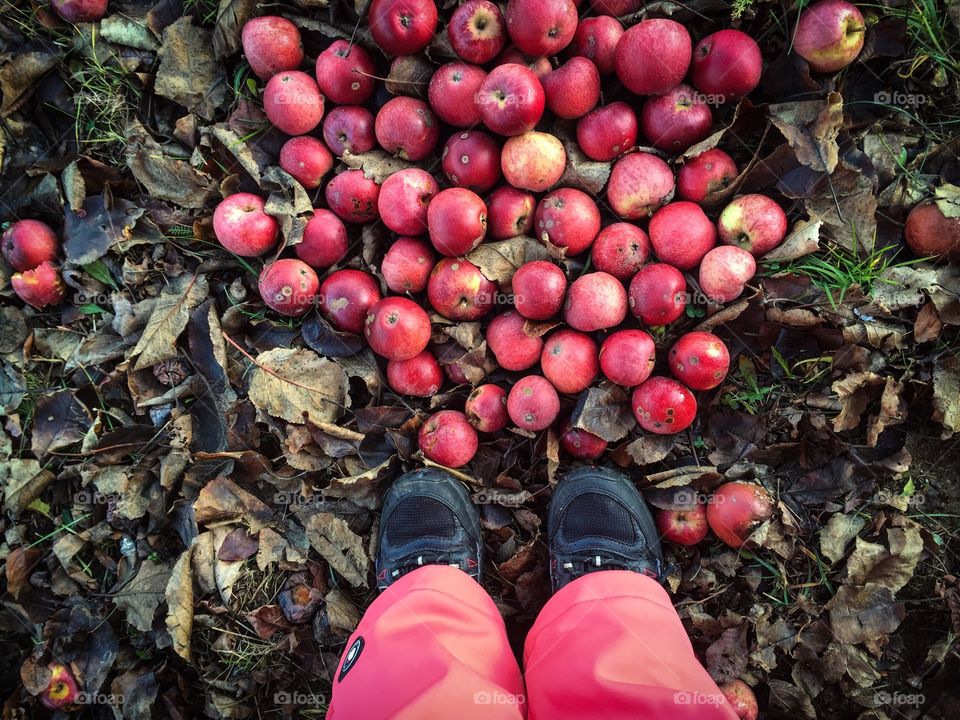 Red apples