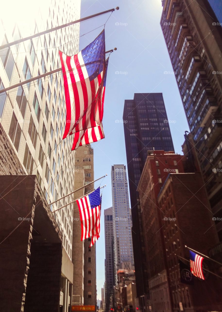 American Flags in New York