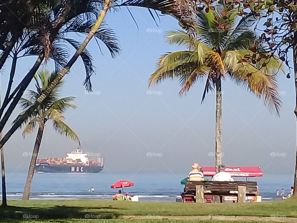 Chip on the ocean Msc. Santos Brasil