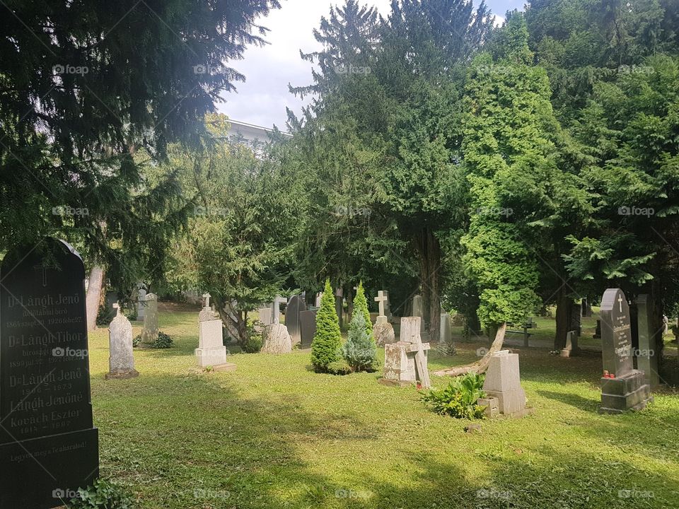 cemetery