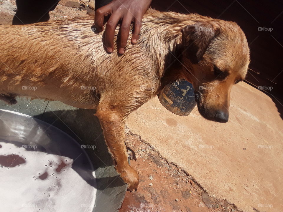 It's summer time, time to take a bathing.