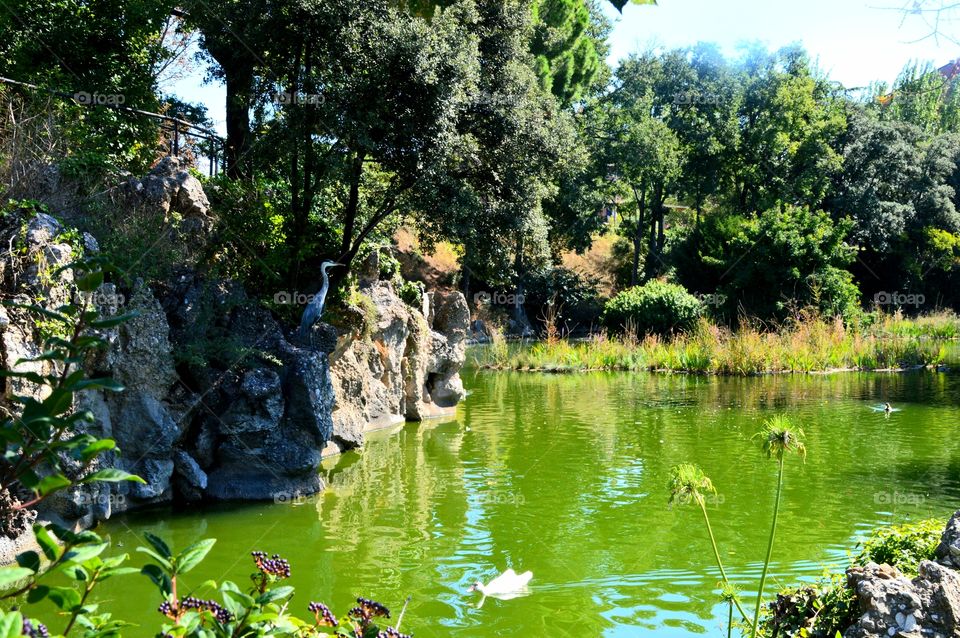 Lake Torreblanca