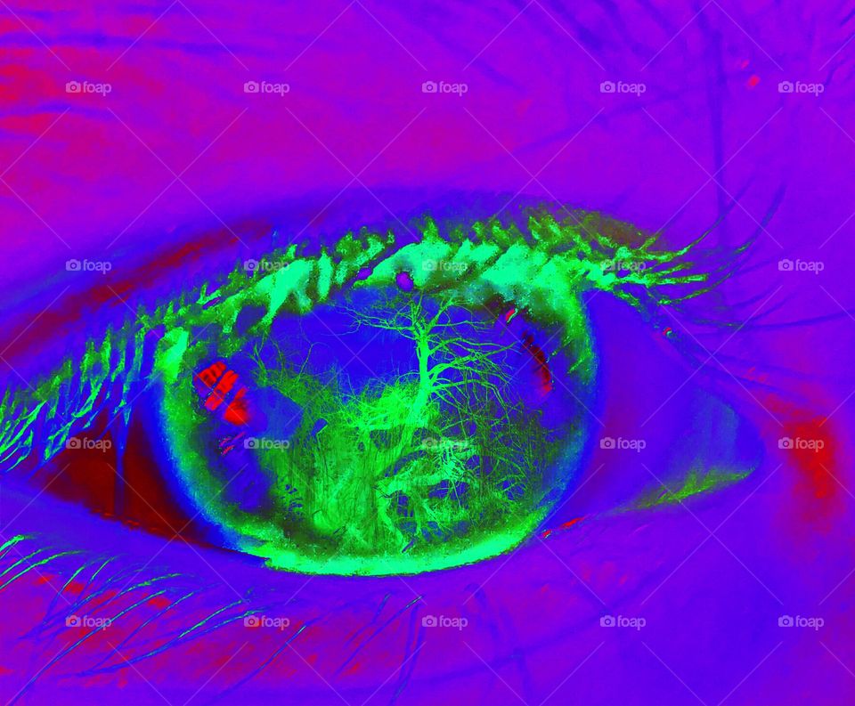 tree in an eye