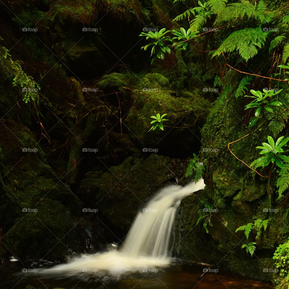 Scenic view of waterfall