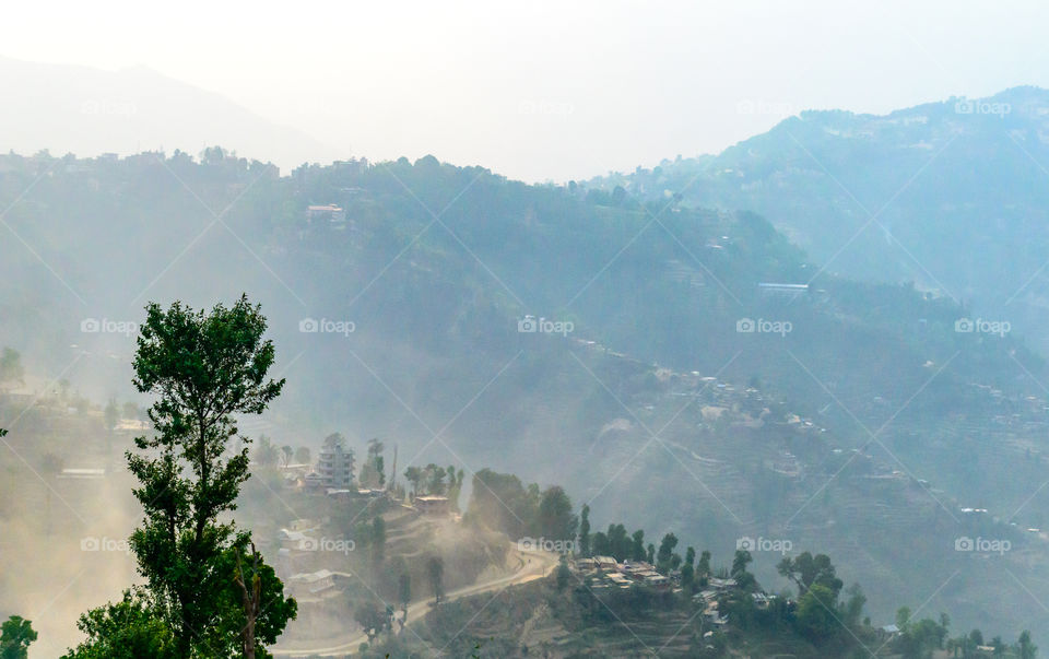 Tree top against blue sky. Background concept. Autumn trees tops on the background of blue sky. Winter trees in sunny winter forest. The trunks and branches of winter trees.