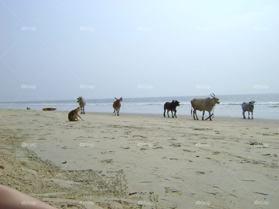 on the beach