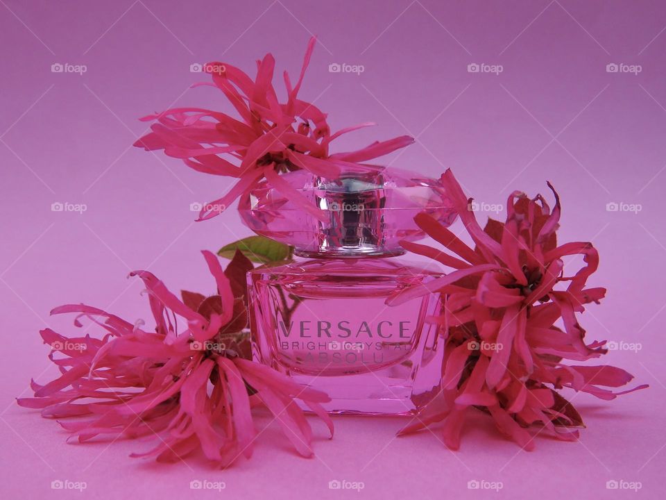 Versace Bright Crystal Absolu Surrounded by Pink Razzleberry Flowers