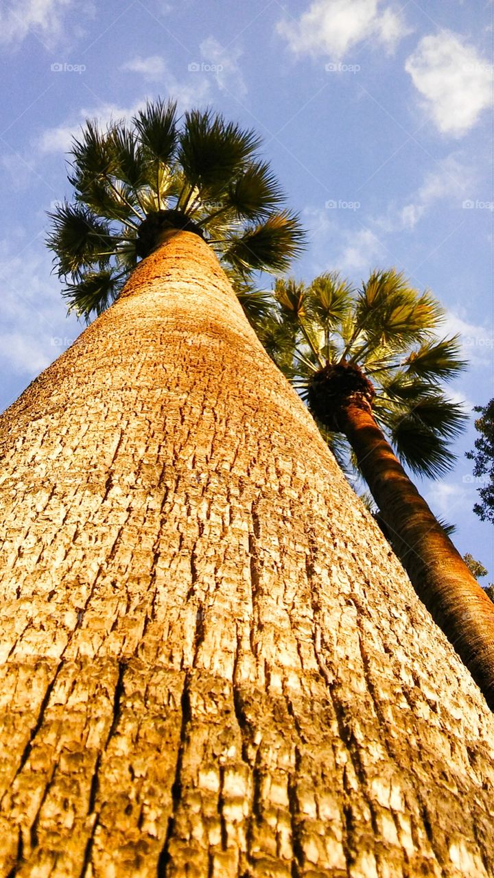 National garden, Athens, Greece