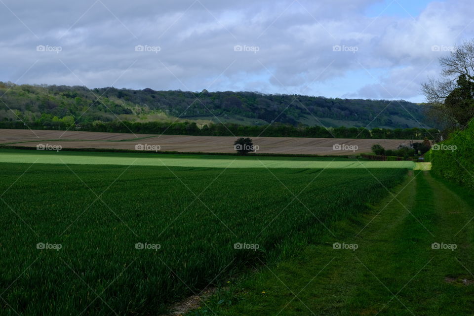 Landscape, No Person, Cropland, Agriculture, Golf