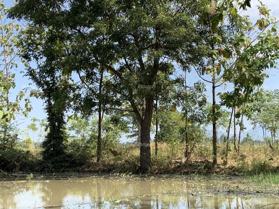 Best of 2021 : Nature, Countryside (Thailand)