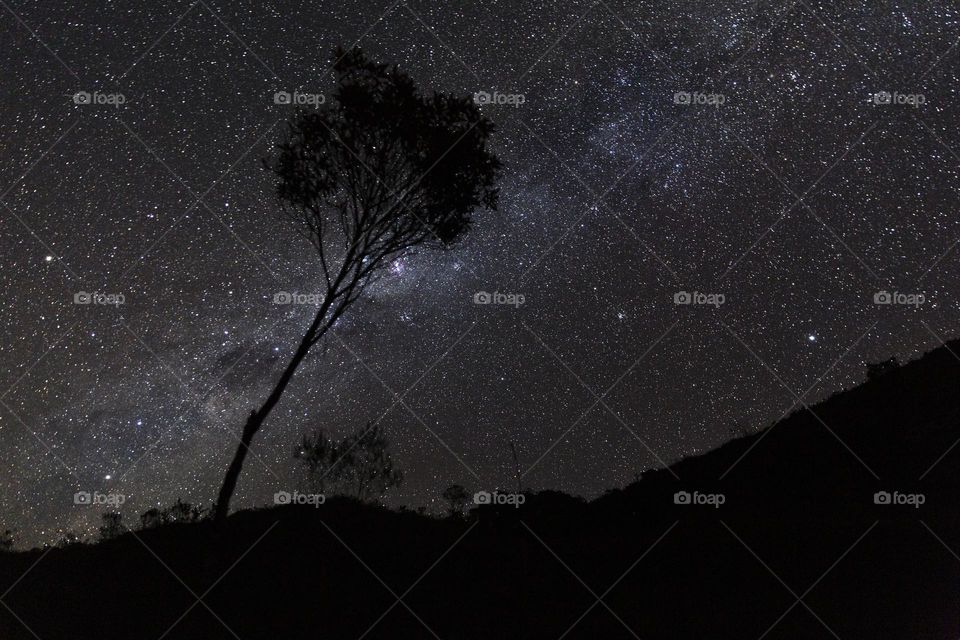 Starry night in Chapada Diamantina Bahia Brazil.