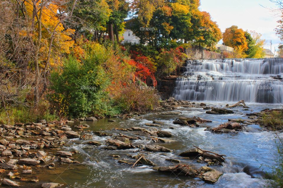 Ellicott creek