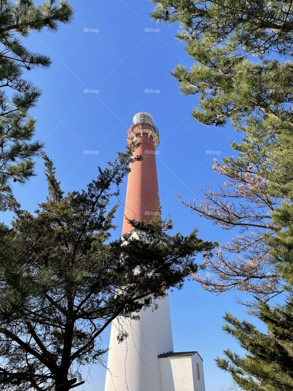Barnegat Lighthouse State Park 
