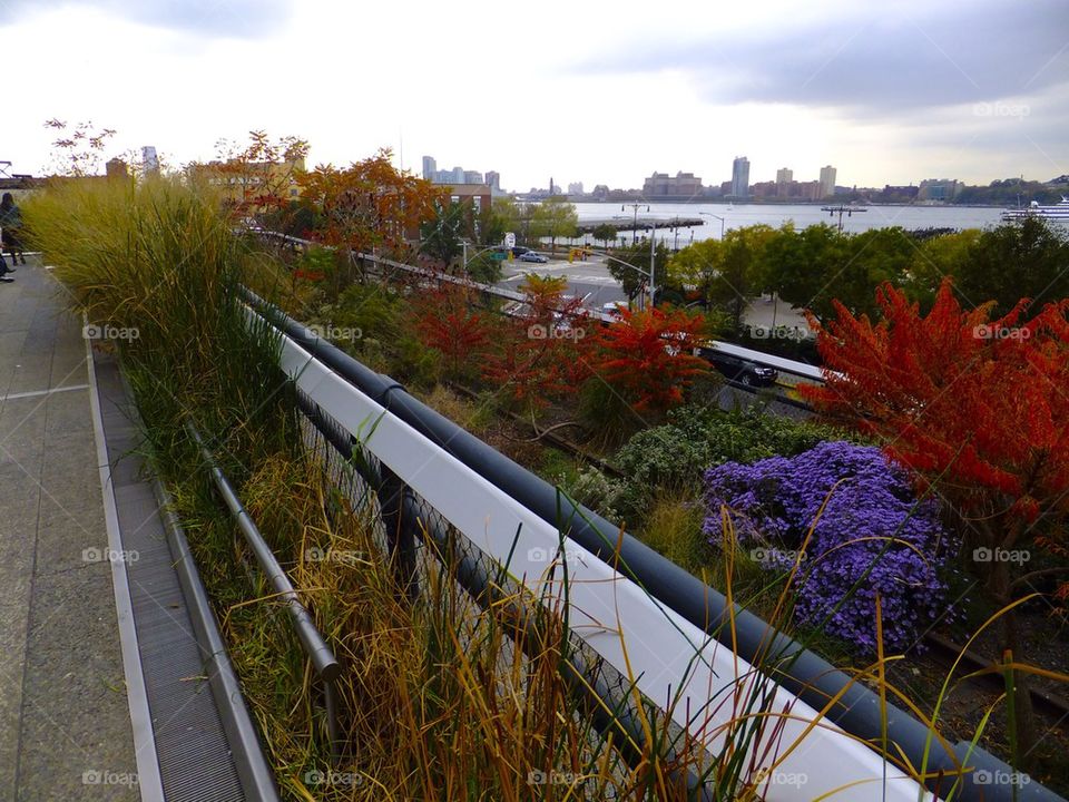 NEW YORK CITY HIGH LINE PARK VIEW OF NEW JERSEY