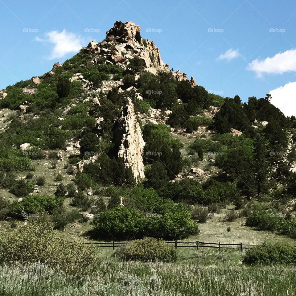 Seen at Garden of the Gods in Colorado Springs Colorado. A beautiful nature preserve in the city that makes you forget how close you are to the real world.