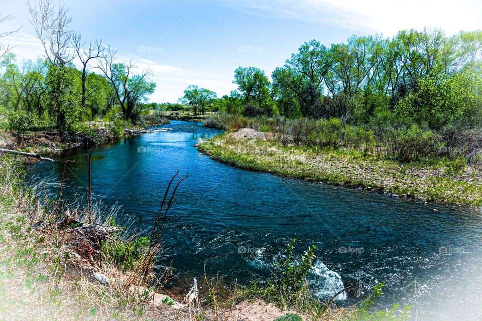 A river bend and a tree lined bank