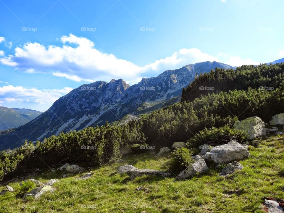 Carpathian Mountains