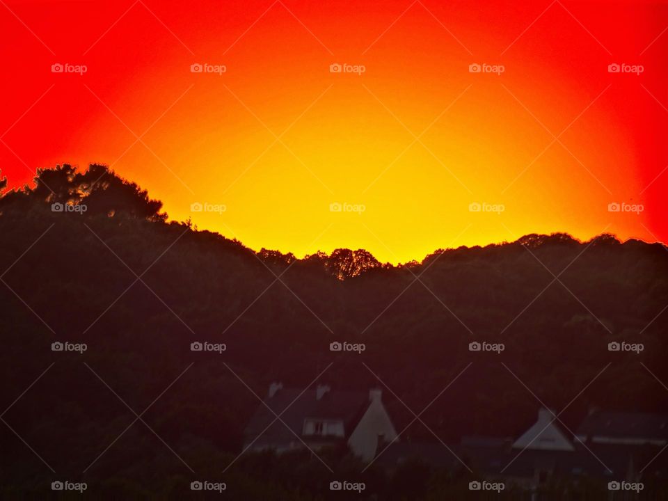 French hamlet black forest ...