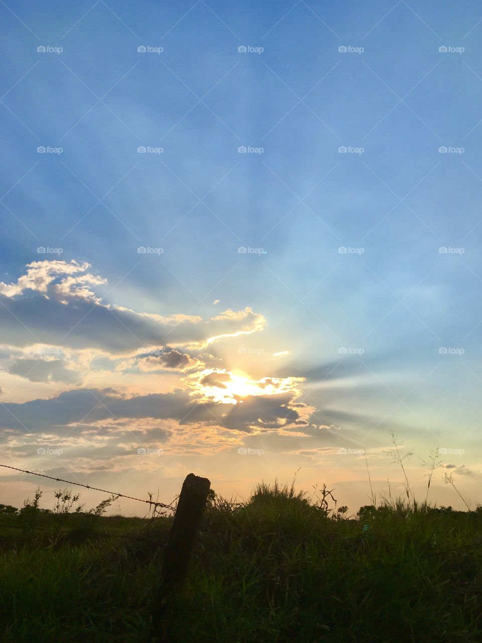 🌄#Entardecer que nos traz motivação!
Como não se inspirar com a beleza da #natureza?
📸 
#fotografia #sol #sun #sky #céu #nature #horizonte #paisagem #landscape #inspiração #mobgrafia #XôStress #FotografiaÉNossoHobby