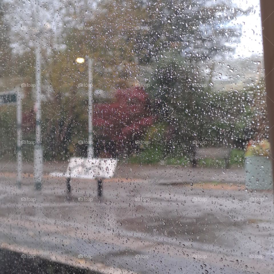 rainy window at a train station. bench and lampost with rust coloured tree in background. u.k