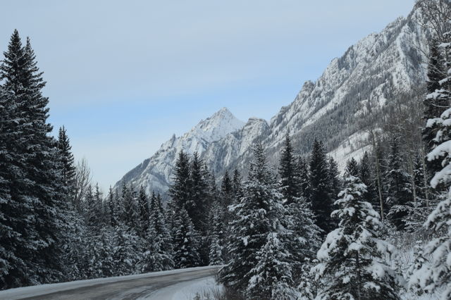 Canada Cold