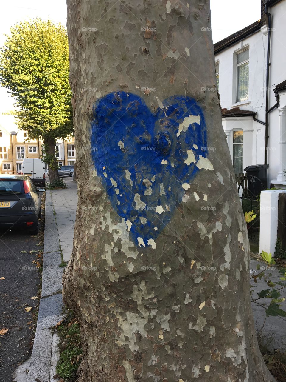 Tree Love