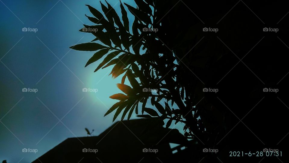 #foap #infoapartemen #foapjuly18 #foapaug18 #foapfeb18 #foapapril17 #foapers #foapjune18 #fotografoaprendiz #sfoapprentices #foaper #infoapartment #foapmission #foapmay18 #foapapr18 #foapit #infoaplikasipaytren #infoapple #foapom #foapjan19 #infoapp 