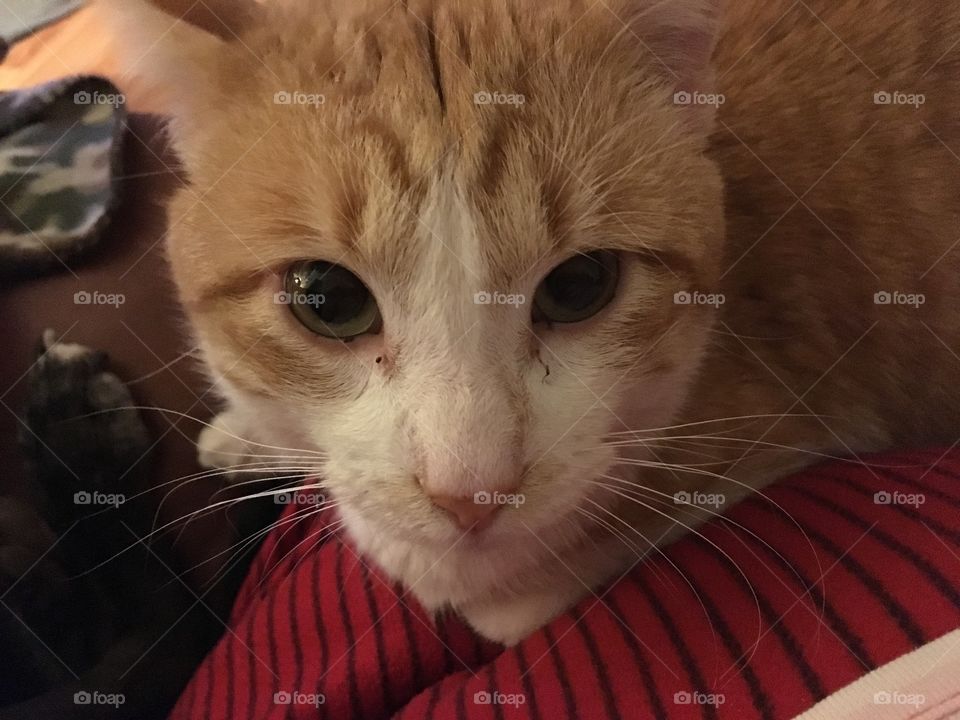 What’s up? My name is Tom. Don’t you snap another pic of me! I’m gonna get you for this.