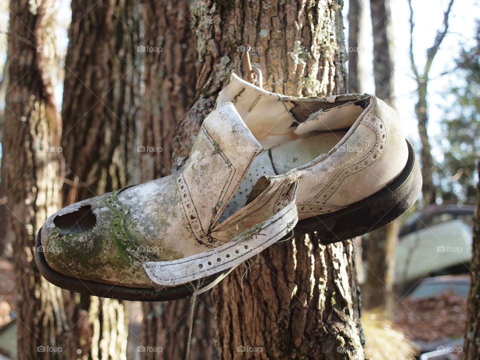 Old Shoe in A Junkyard 
