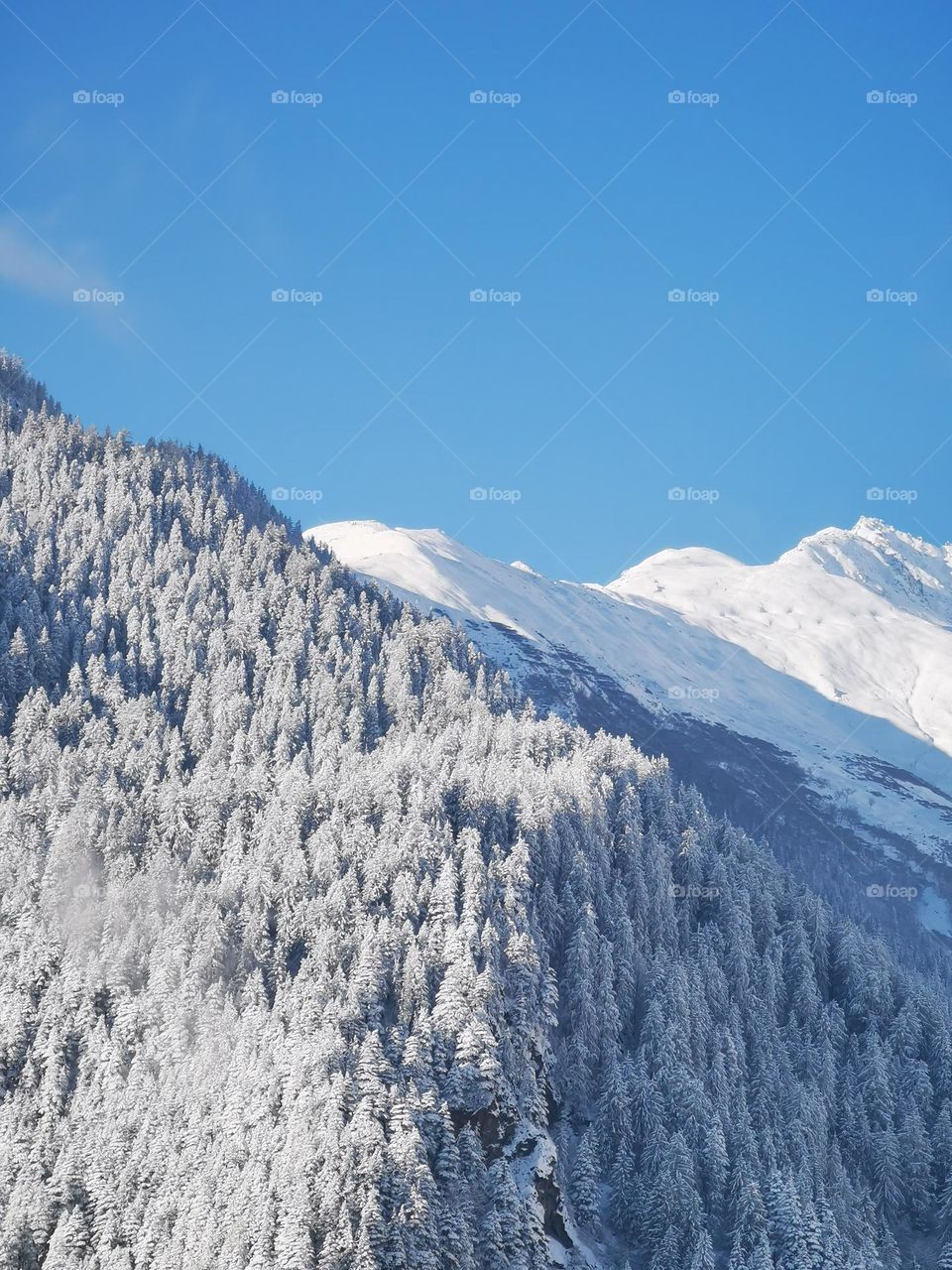 sunny morning mountain view