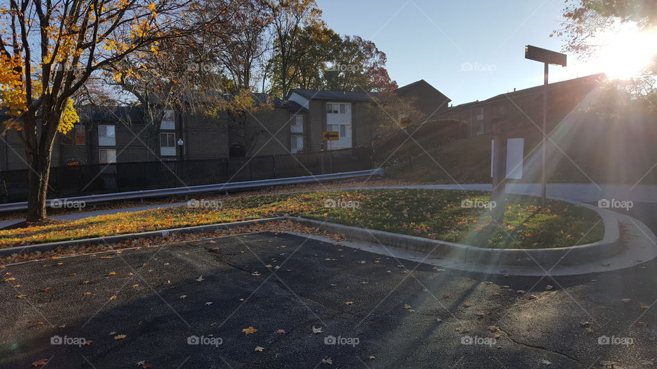 super boring fall parking lot pic