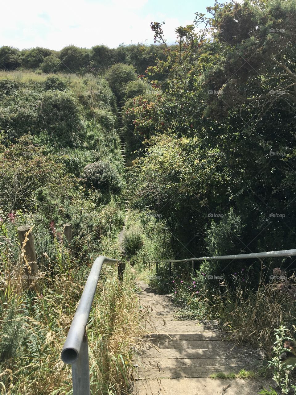 Countryside footpath... steps leading down the Valley with railings support and you can see the steps going up the other side 