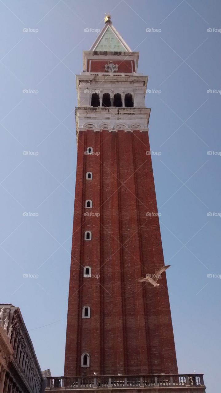 Piazza San Marco -Venice-Italy