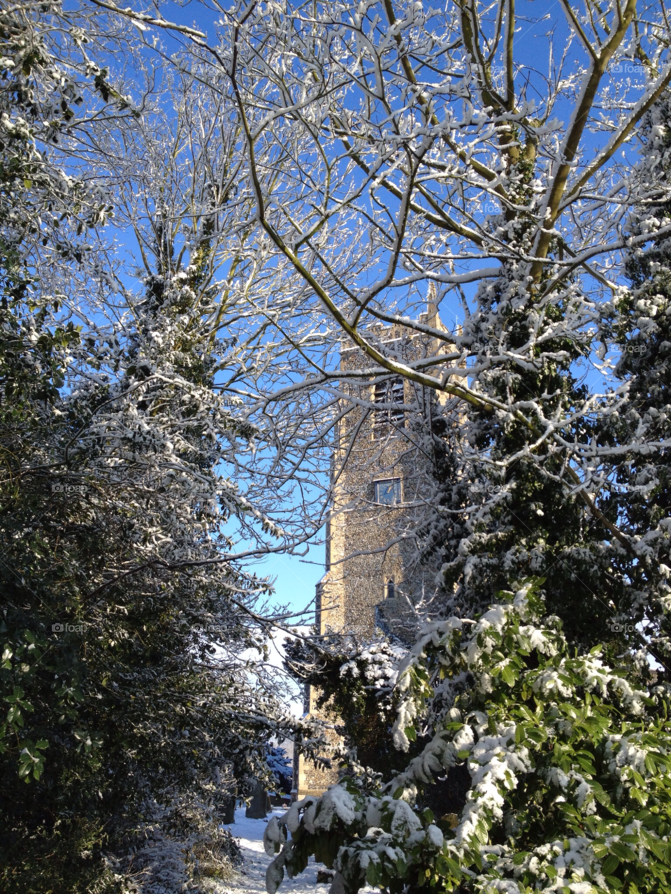 pulham st mary norfolk snow trees church by sunnydee