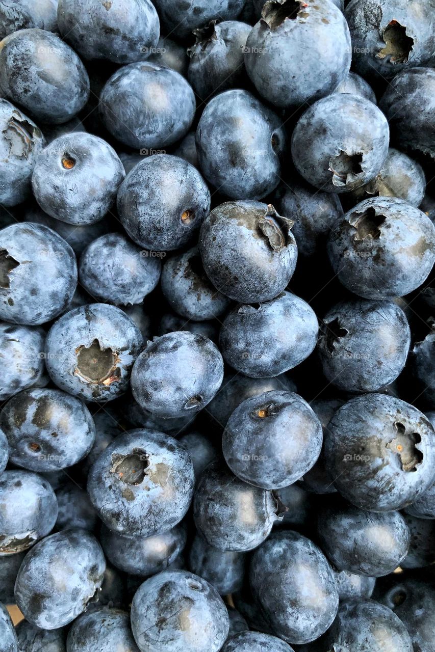 Fresh blueberries 