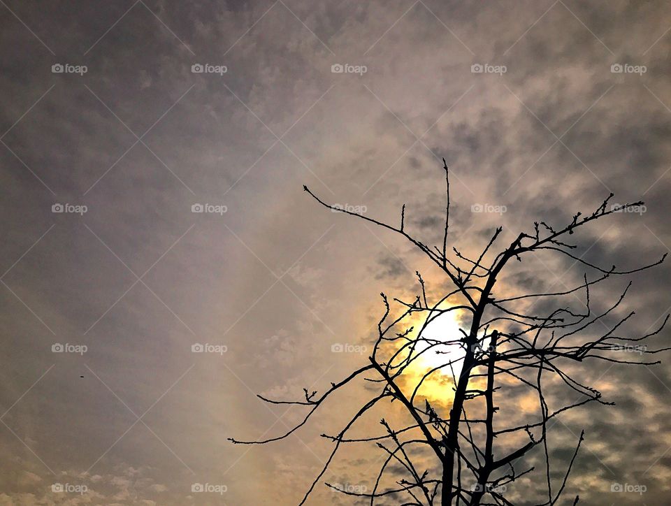 Sunlight peaking through the clouds 