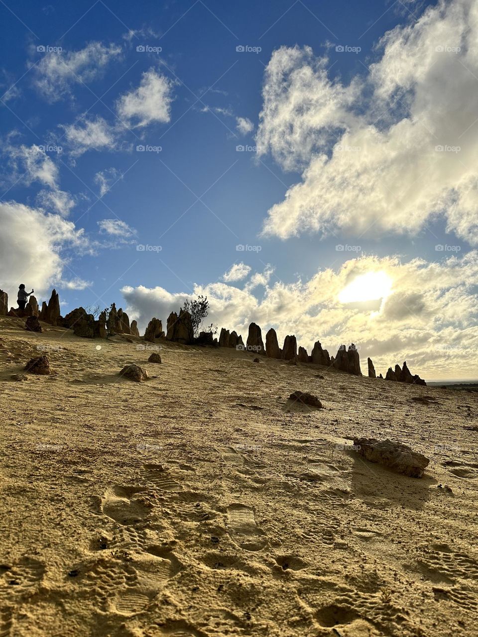 The Pinnacles of Western Australia 