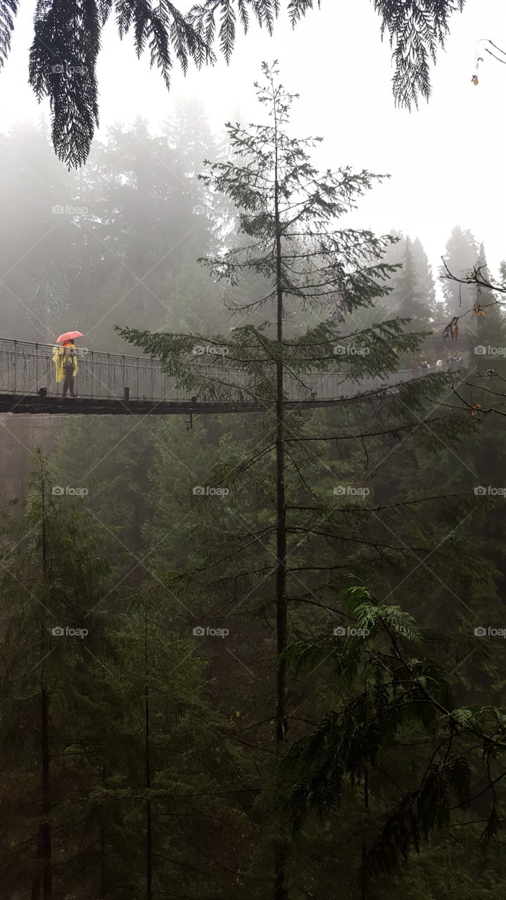 Rear view of person walking on bridge